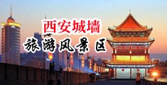 黄色日大黑逼逼中国陕西-西安城墙旅游风景区